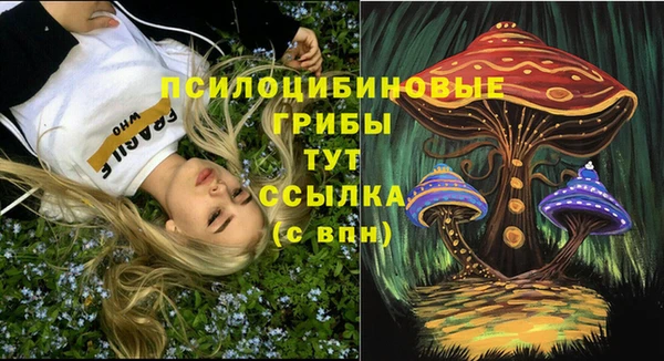 jwh Абаза