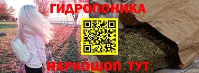 винт Шахты