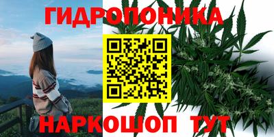 винт Шахты