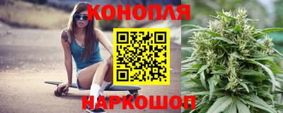 амф Шебекино